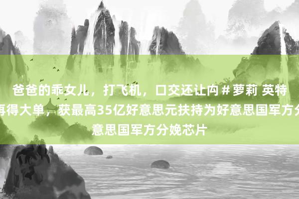 爸爸的乖女儿，打飞机，口交还让禸＃萝莉 英特尔据悉再得大单，获最高35亿好意思元扶持为好意思国军方分娩芯片