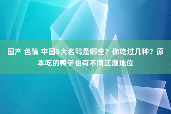 国产 色情 中国5大名鸭是哪些?你吃过几种?原本吃的鸭子也有不同江湖地位