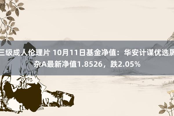 三级成人伦理片 10月11日基金净值:华安计谋优选羼杂A最新净值1.8526,跌2.05%