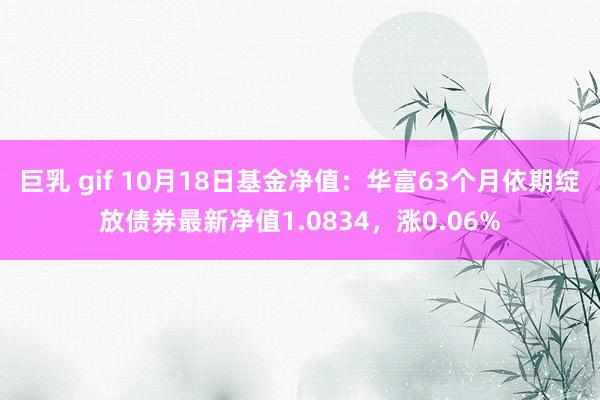 巨乳 gif 10月18日基金净值:华富63个月依期绽放债券最新净值1.0834,涨0.06%