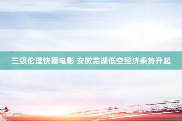 三级伦理快播电影 安徽芜湖低空经济乘势升起