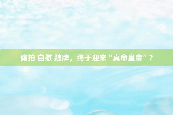 偷拍 自慰 魏牌,终于迎来“真命皇帝”?