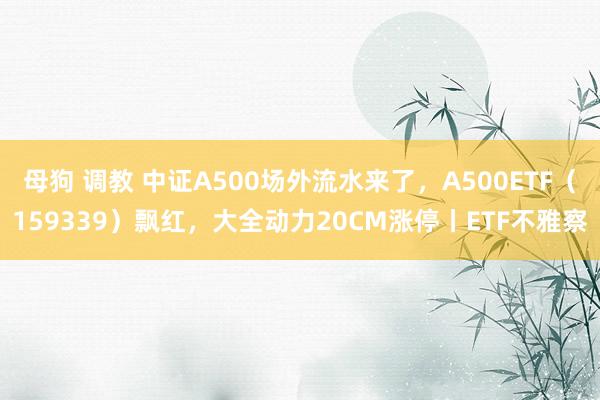 母狗 调教 中证A500场外流水来了,A500ETF(159339)飘红,大全动力20CM涨停丨ETF不雅察