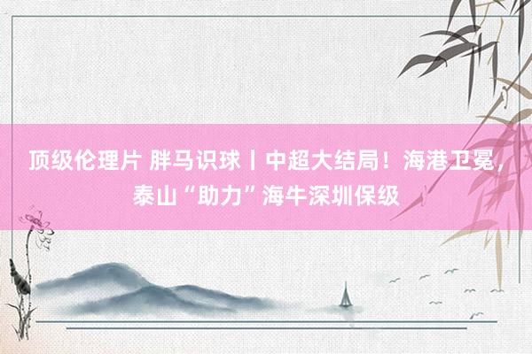顶级伦理片 胖马识球丨中超大结局!海港卫冕,泰山“助力”海牛深圳保级