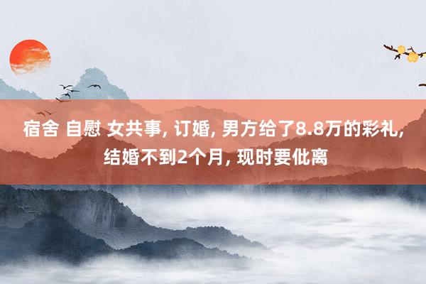 宿舍 自慰 女共事, 订婚, 男方给了8.8万的彩礼, 结婚不到2个月, 现时要仳离