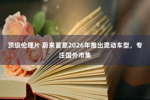 顶级伦理片 蔚来蓄意2026年推出混动车型,专注国外市集