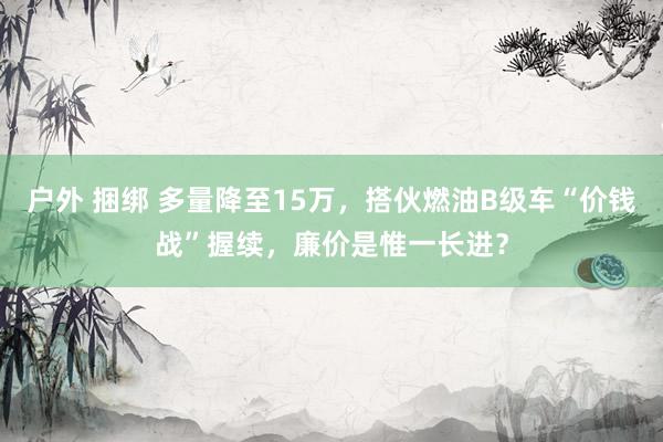 户外 捆绑 多量降至15万,搭伙燃油B级车“价钱战”握续,廉价是惟一长进?