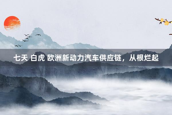 七天 白虎 欧洲新动力汽车供应链,从根烂起