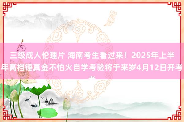 三级成人伦理片 海南考生看过来!2025年上半年高档锤真金不怕火自学考验将于来岁4月12日开考