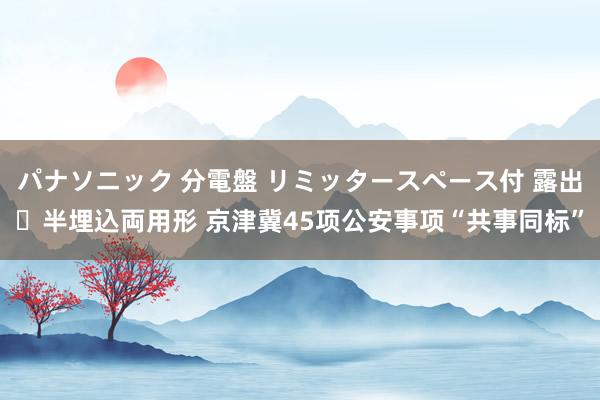 パナソニック 分電盤 リミッタースペース付 露出・半埋込両用形 京津冀45项公安事项“共事同标”