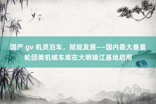 国产 gv 机灵泊车,赋能发展——国内最大垂直轮回类机械车库在大明靖江基地启用