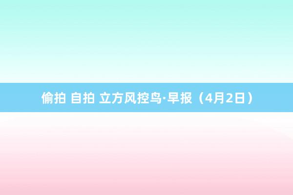 偷拍 自拍 立方风控鸟·早报(4月2日)